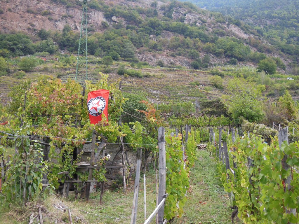 Chiomonte (Valle di Susa), un’altra vendemmia sotto occupazione&nbsp;militare
